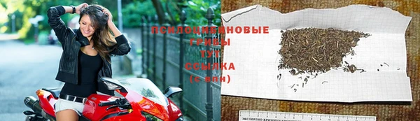 бутират Кукмор