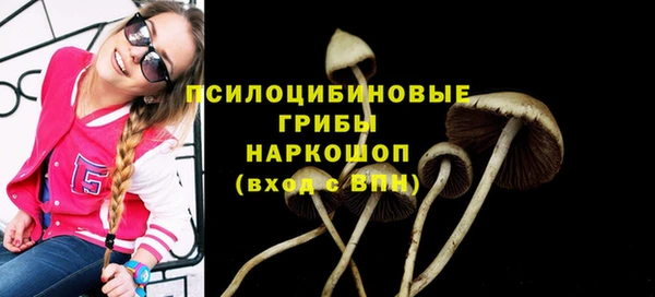 бутират Кукмор