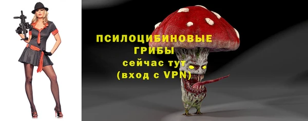 бошки Лагань