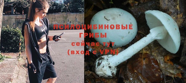 бошки Лагань