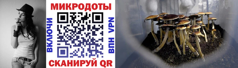 Галлюциногенные грибы прущие грибы  Петровск-Забайкальский 